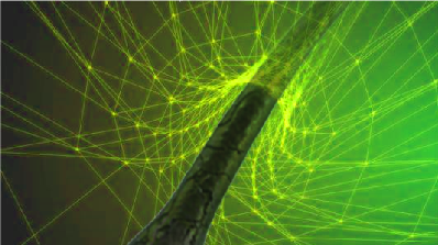 护发素NatFibra™ CCMO