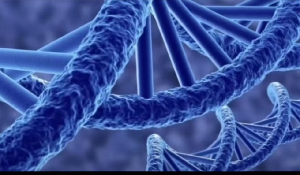 Ceramide 神经酰胺乳液（仙美）