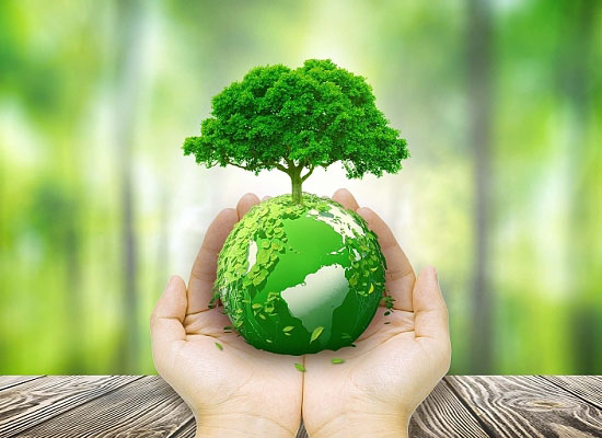 Rhamnolipids 鼠李糖酯