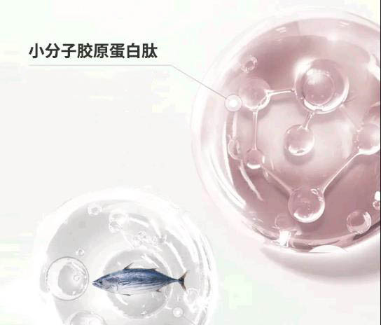 Collagen 胶原蛋白肽