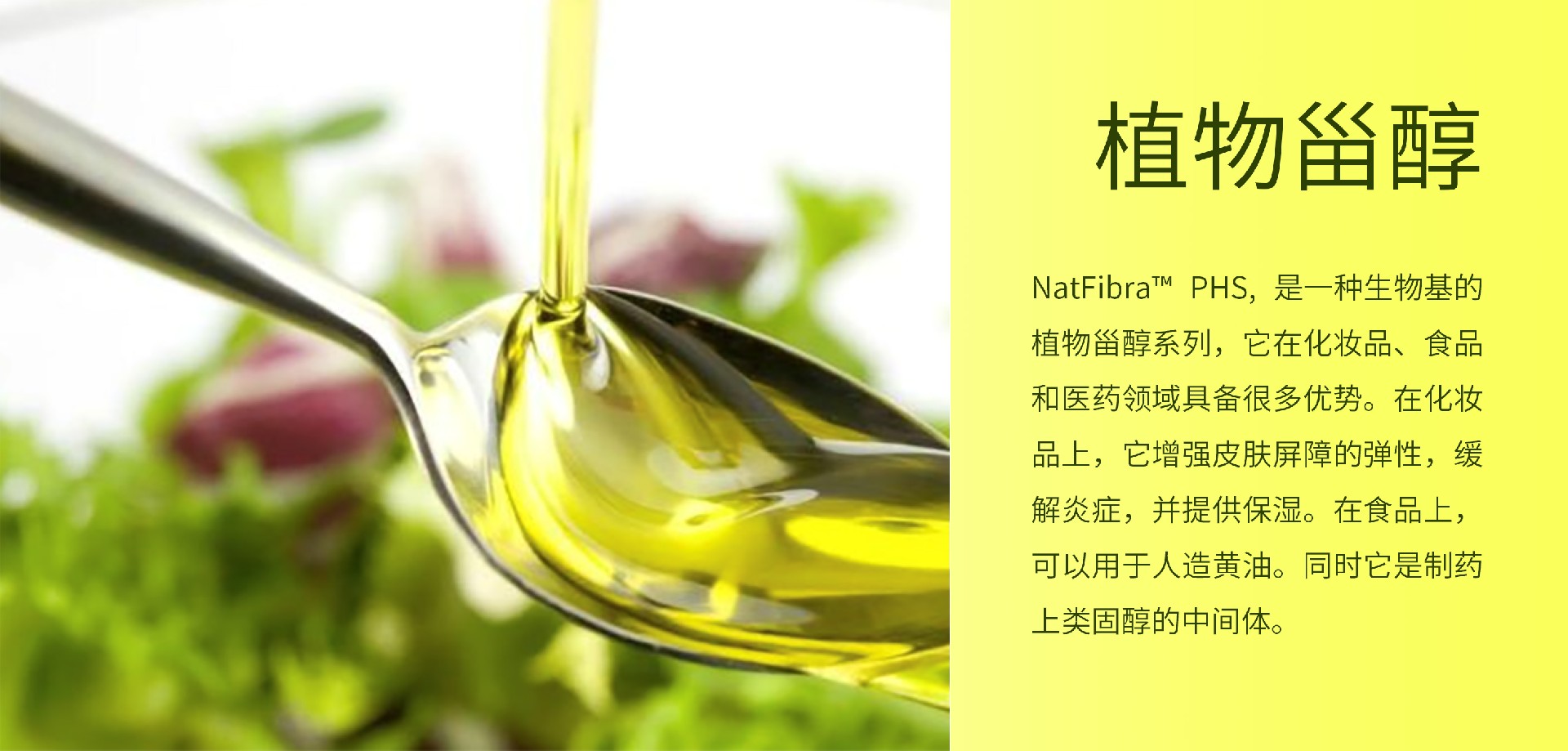 1700021543151605.jpg 植物甾醇.jpg