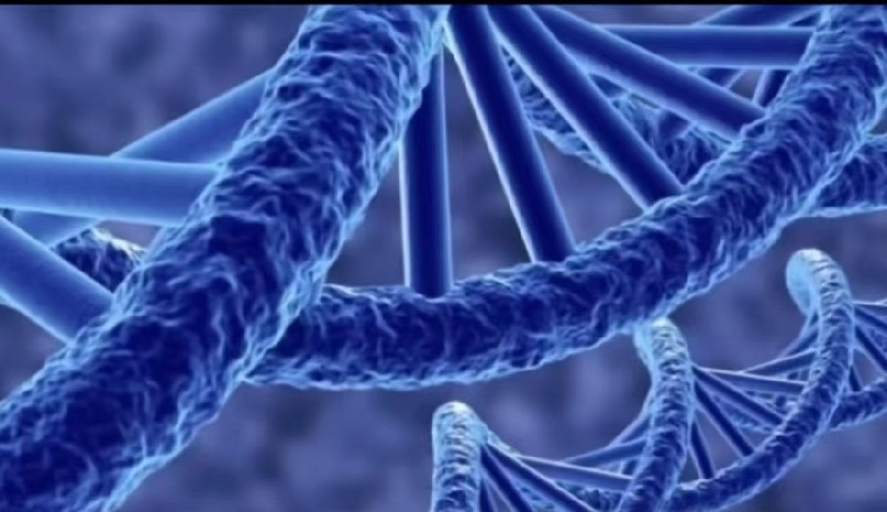 NatFibra™ EFNMide (Ceramide)