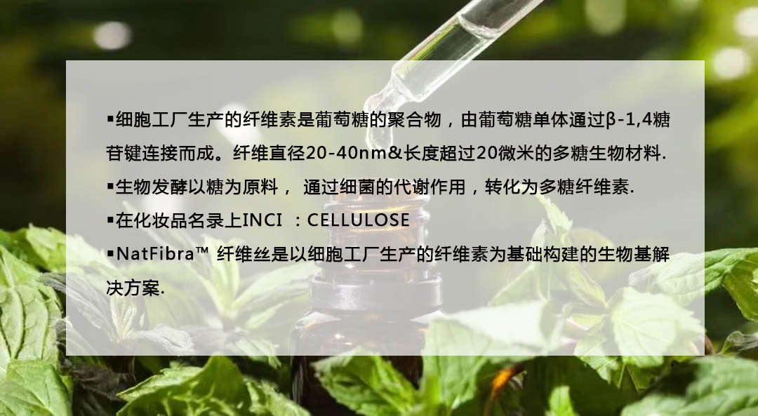细菌纤维素.jpg