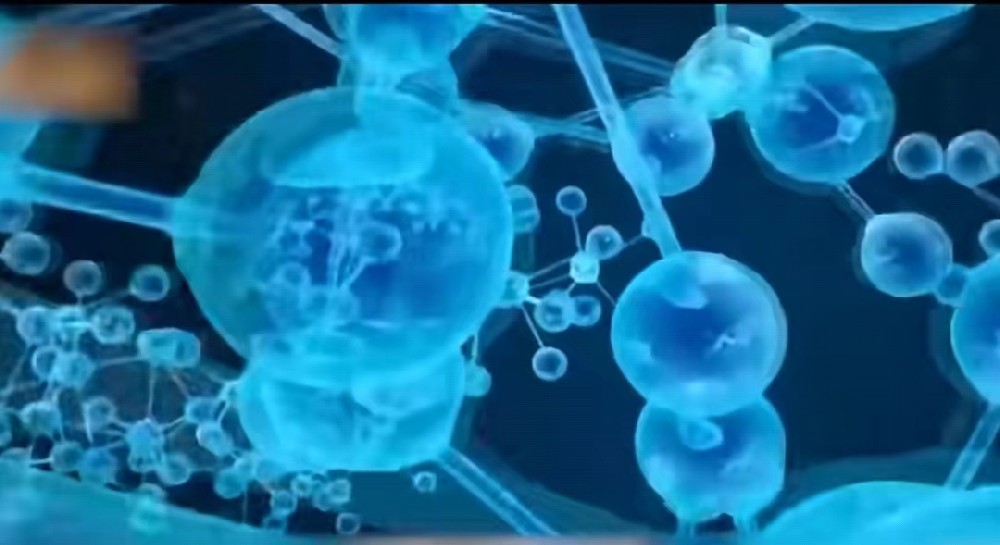 What is Bacterial Cellulose